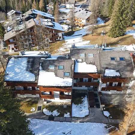 Petit Cirsio Apartament